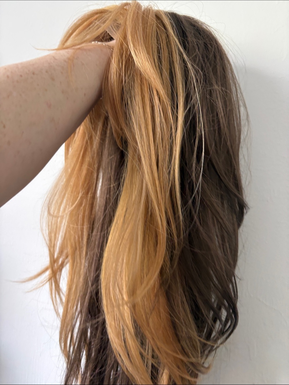 Blonde/Brown Lace Front Wig - Natural Honey Blonde - Picture 2 of 13